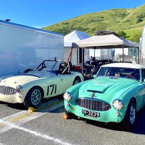 Team Healey Paddock Sonoma 2023.jpg