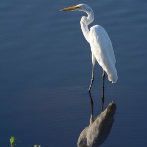 SS1_8157sc.JPG