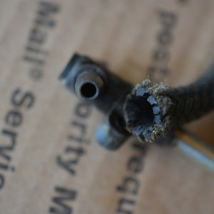 SS2_1675sc.JPG