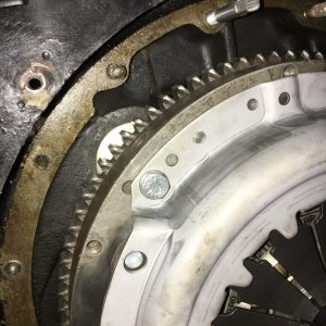 IMG_1310.jpeg