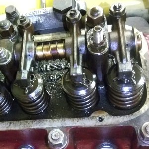 459116717_2422651534604185_4069375832513630337_n.jpg