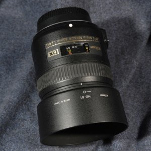 D8B_1579Gsc.JPG