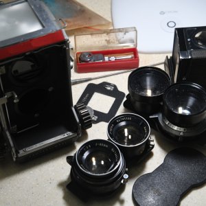 D8B_1654Gcrsc.JPG