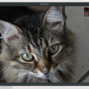Screenshot from 2025-06-05 0.png