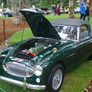 Fredrick - Forest Grove Concours.jpg
