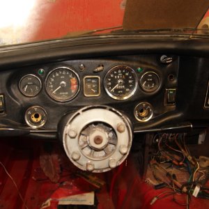IMG_4769.JPG