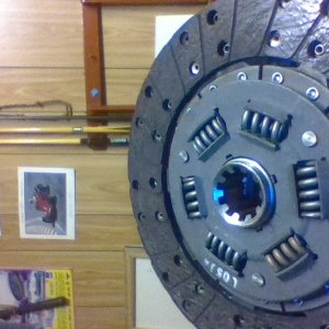 IMG_20250728_094551.jpg
