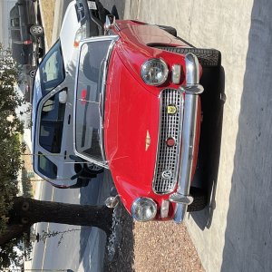 IMG_0503.jpeg