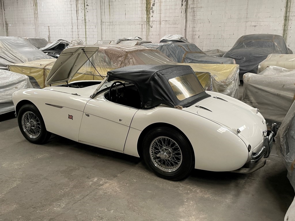 1953 Austin Healey 100, Navari, 2022 (3).JPG