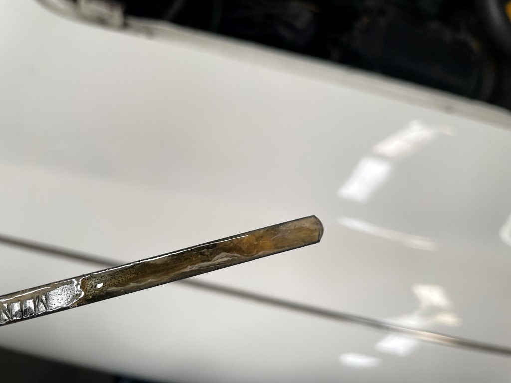 1953 Austin Healey 100, Navari, 2022 (57).JPG