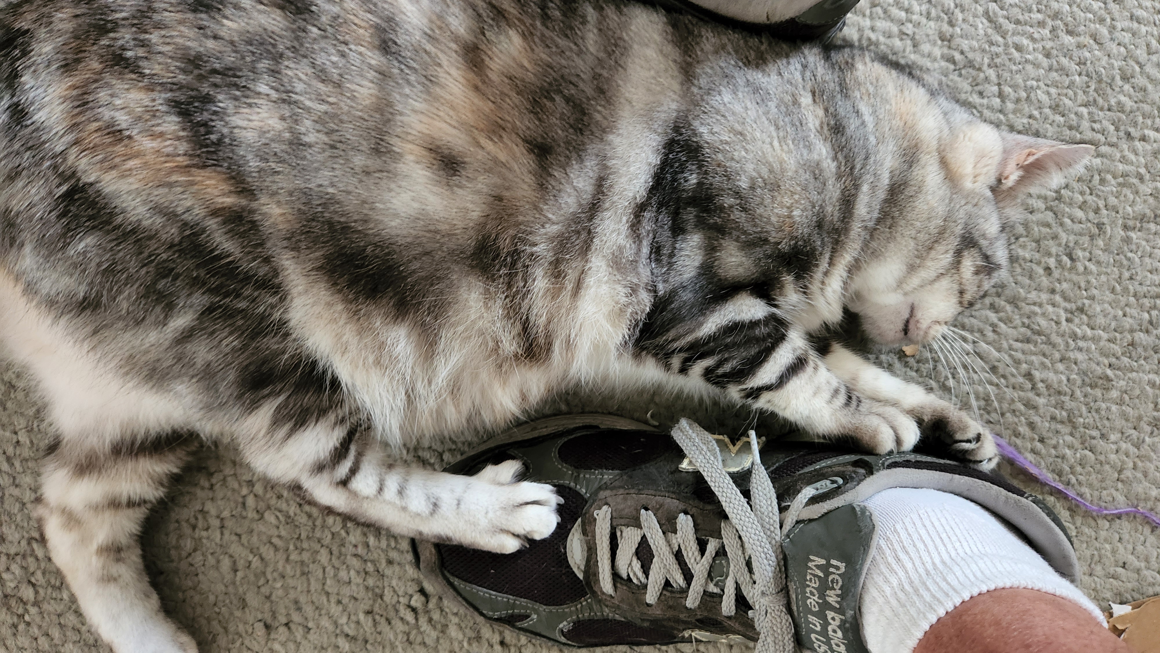 20220910_162305.jpg