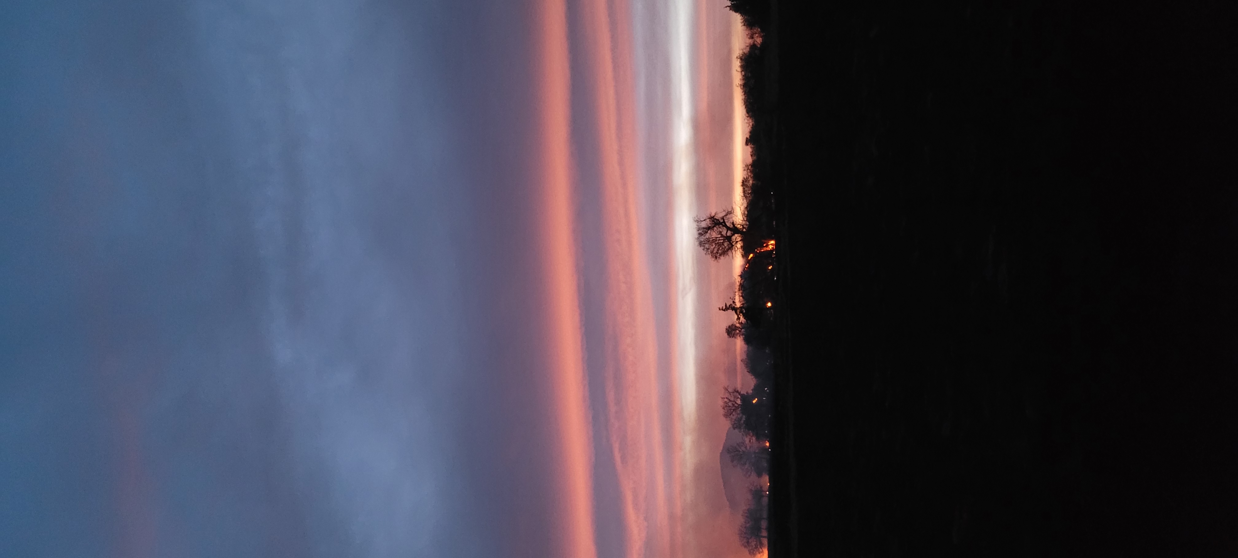 20230405_202507.jpg