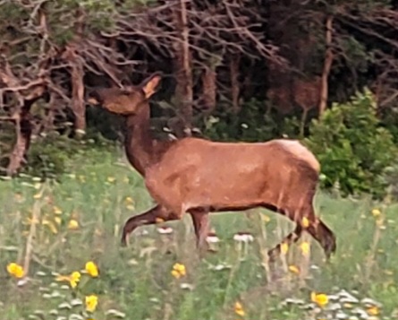 20230523_065441.jpg