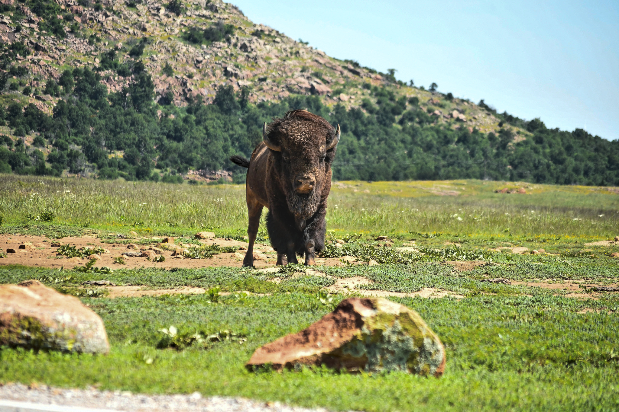 _DSC4477_01.jpg