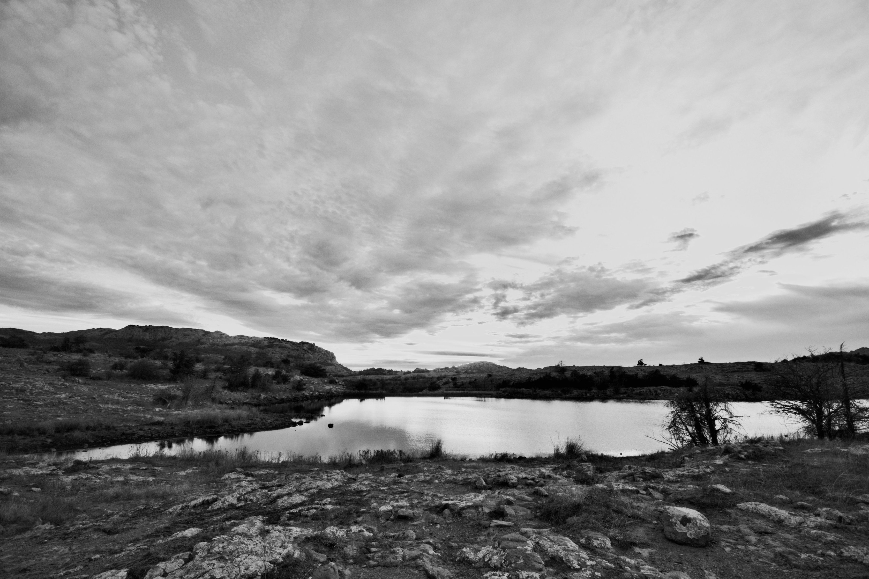 _WWK0315_01.jpg