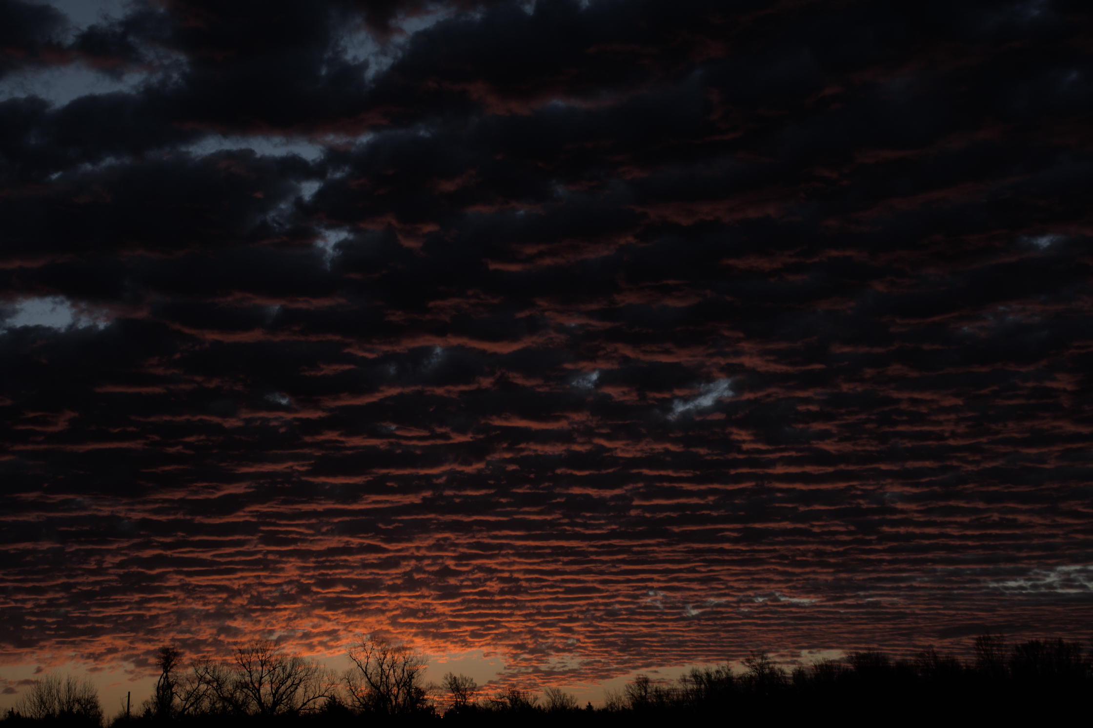 _WWK0335_01.jpg