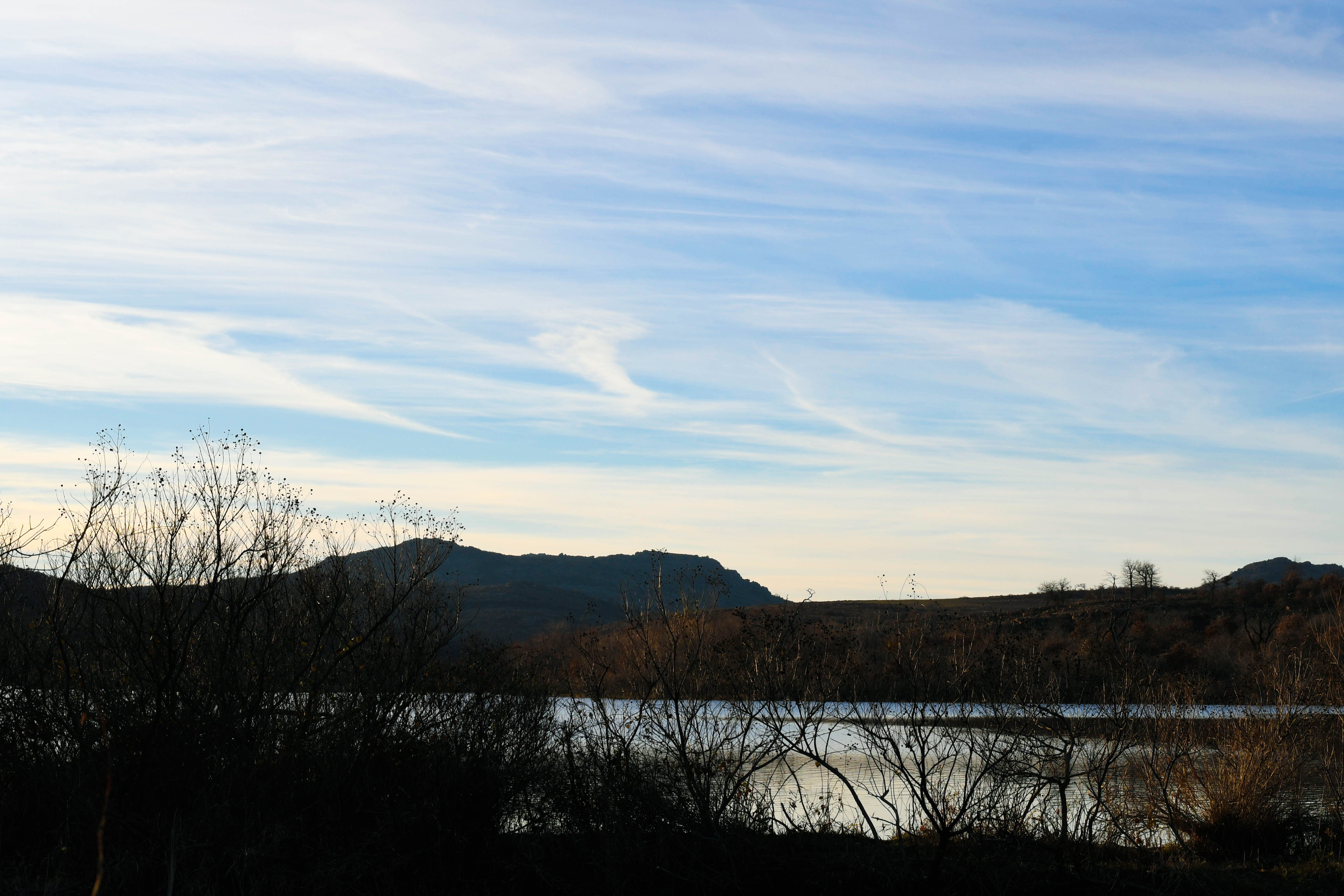 _WWK8448.jpg