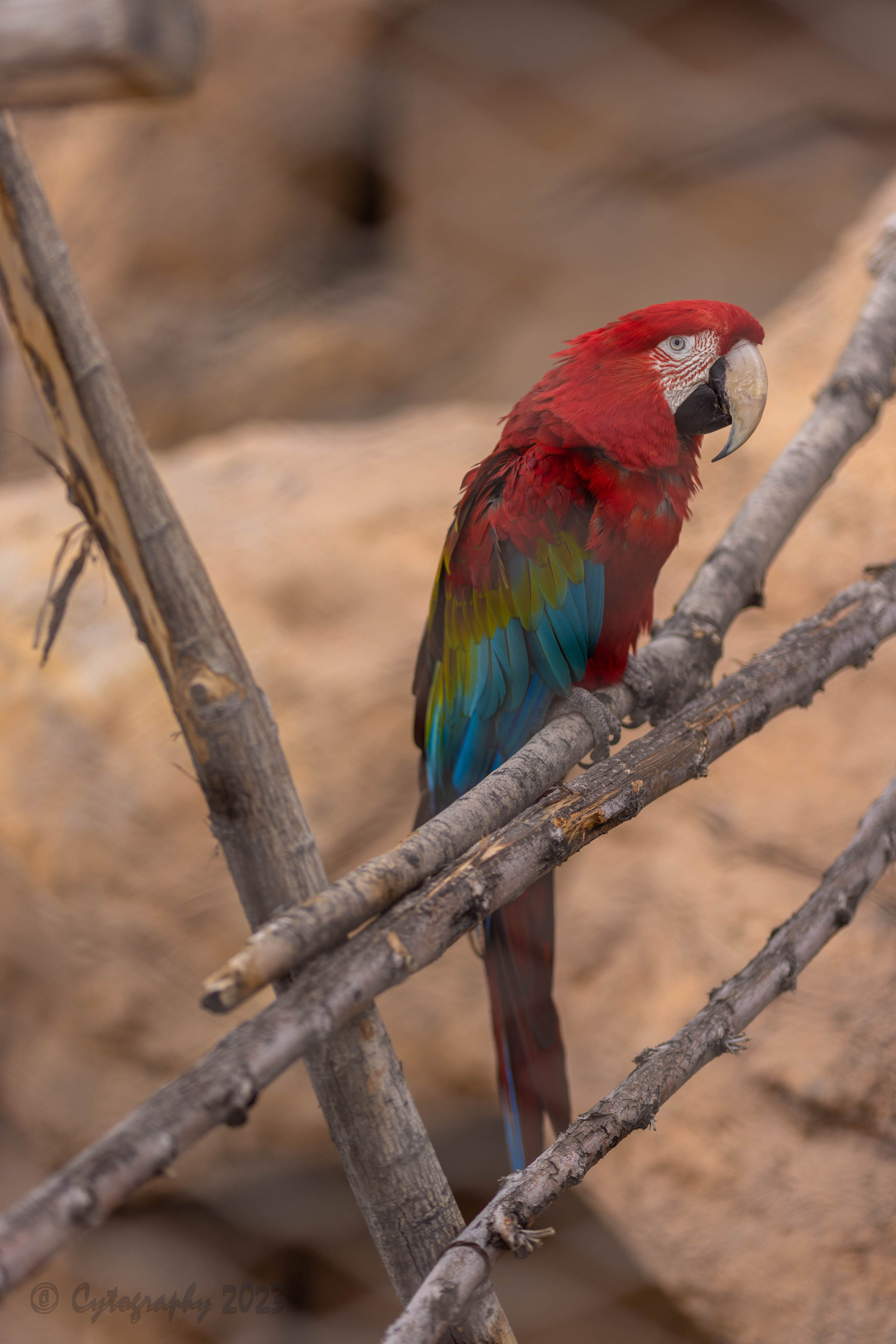 Abq_Zoo_Feb2023-1072.jpg