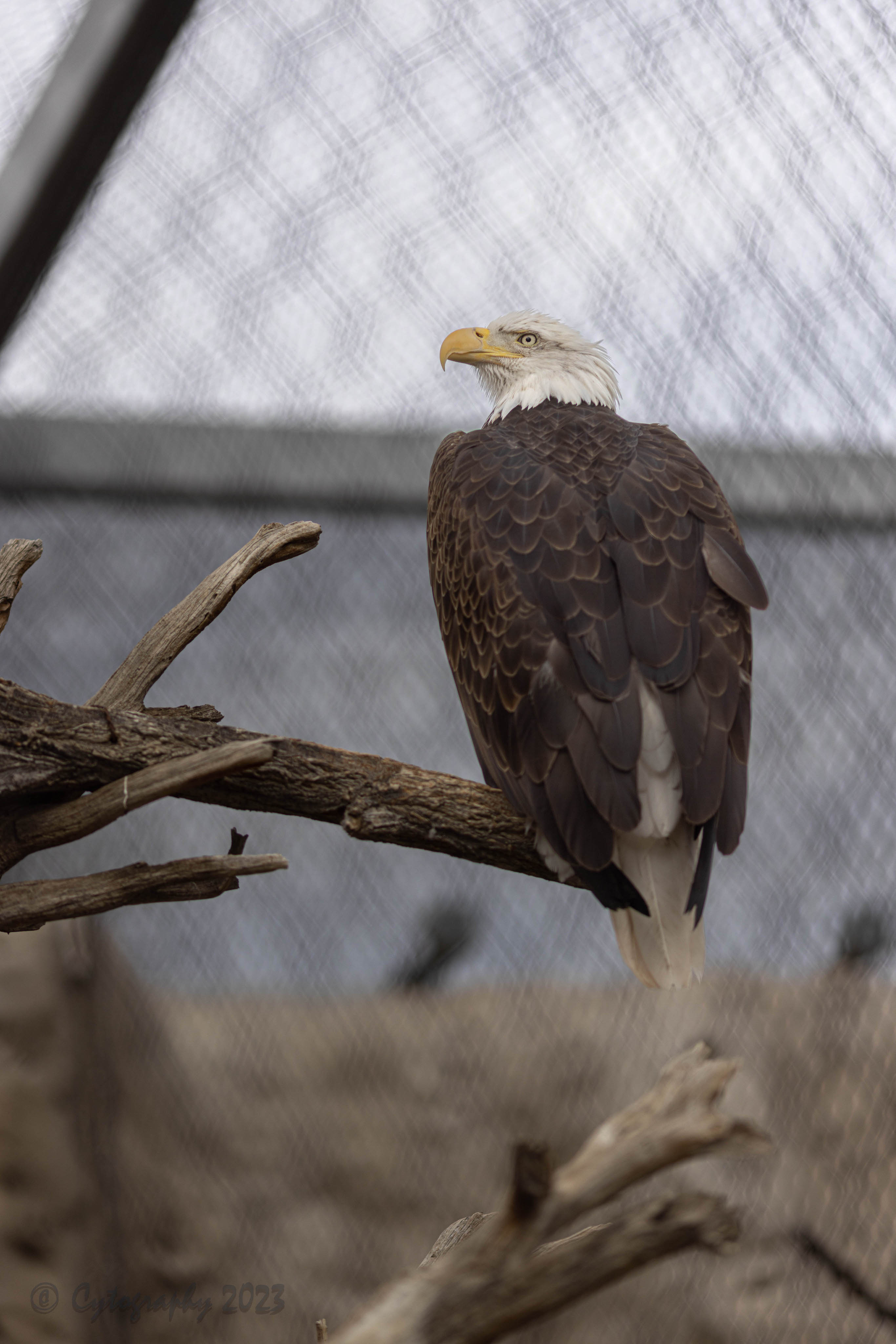 Abq_Zoo_Feb2023-1090.jpg