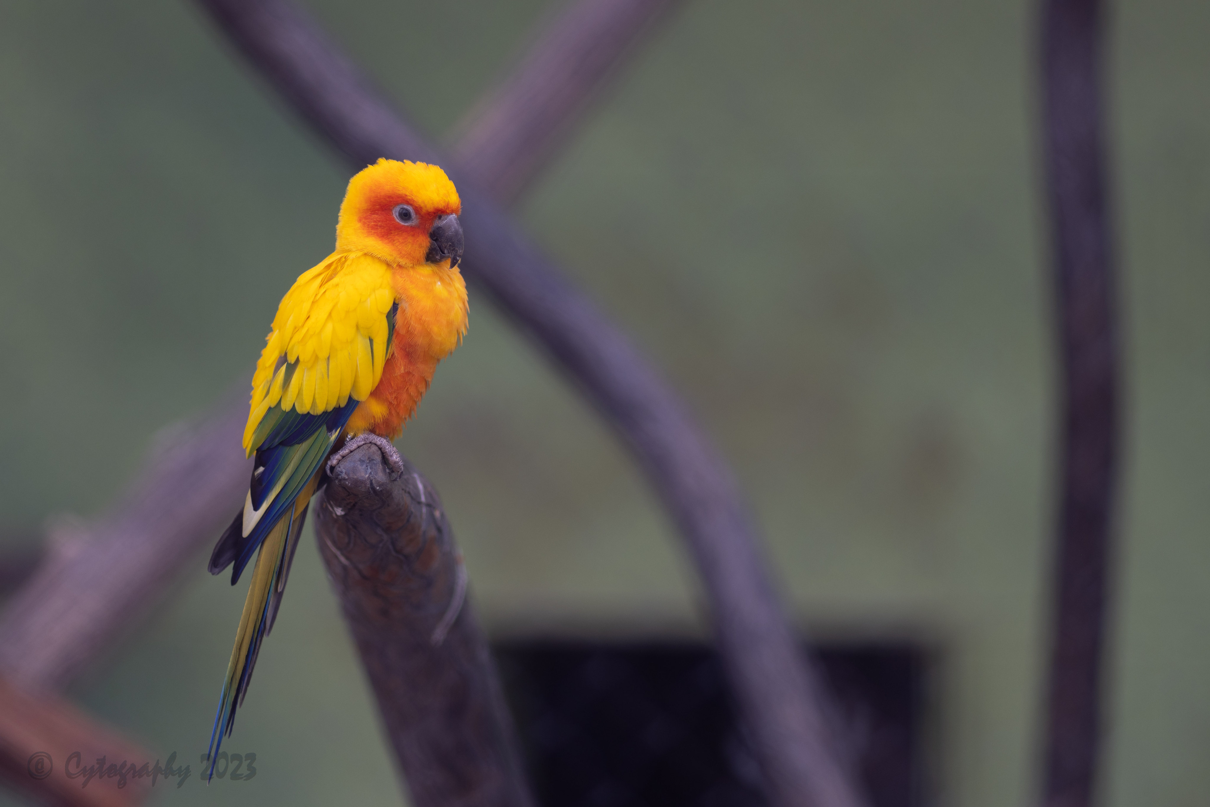 Abq_Zoo_Feb2023-1094.jpg