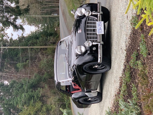 blackbeauty.jpg