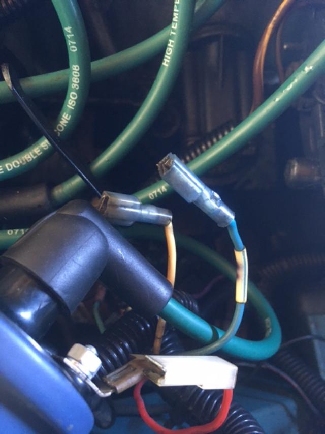 blue and white wire.jpg