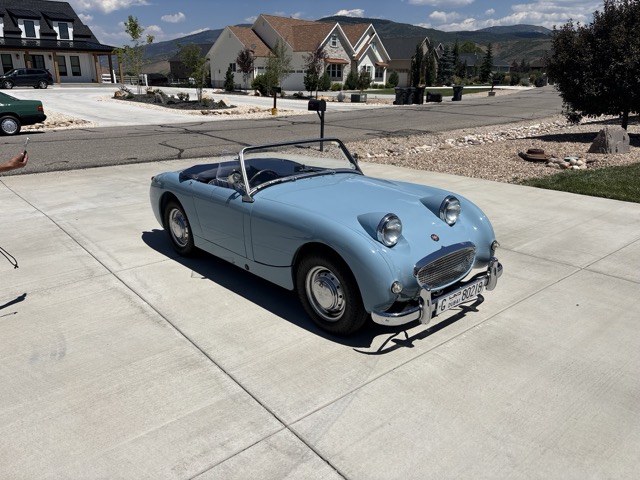 Bug in driveway.jpeg