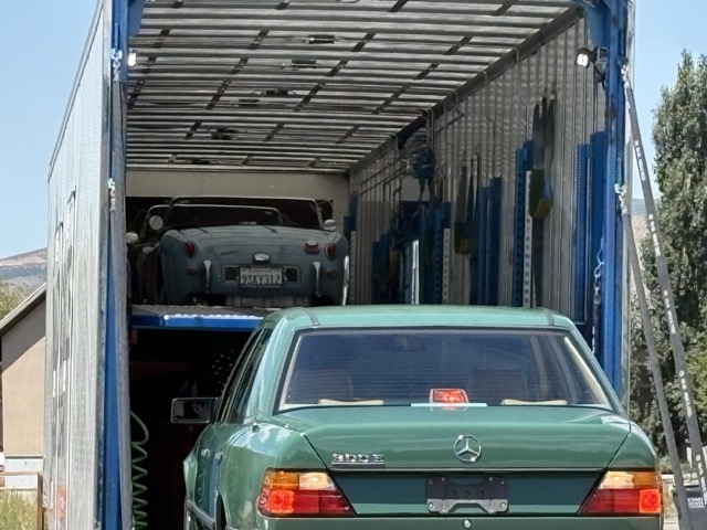 Bug in truck.jpeg