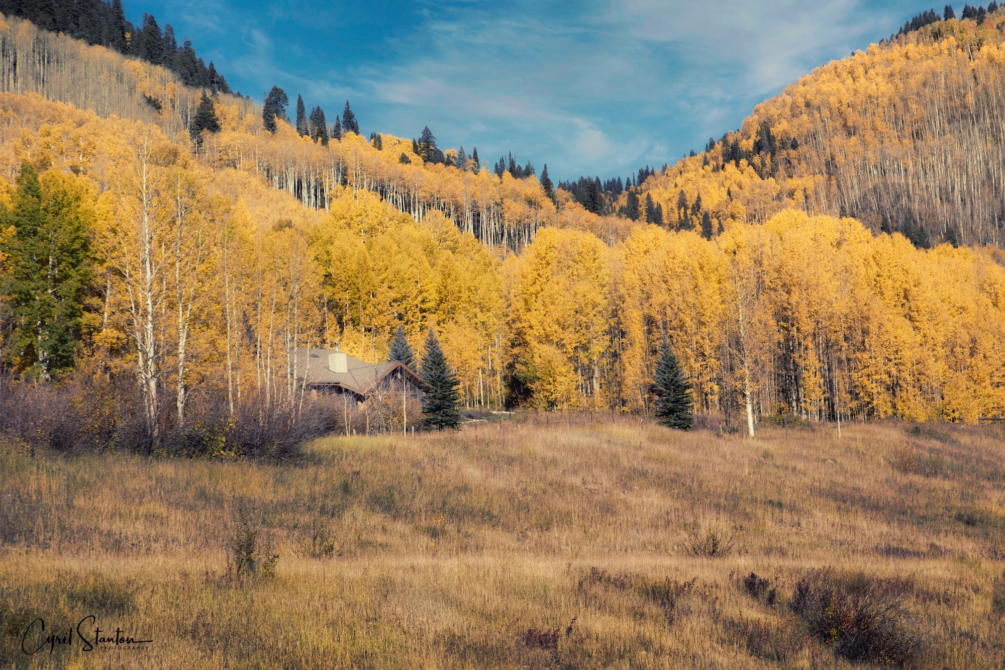 Colorado Fall 2022-cytog-10N copy.jpeg