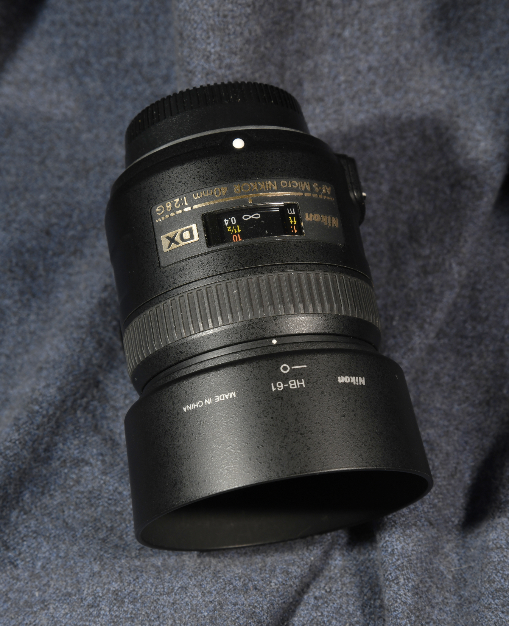 D8B_1579Gsc.JPG