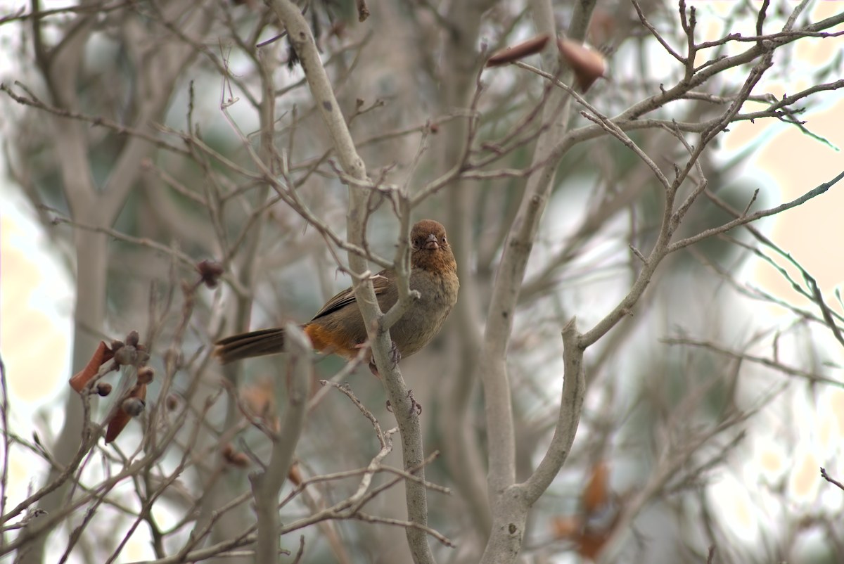 DSC_7774_01.jpg