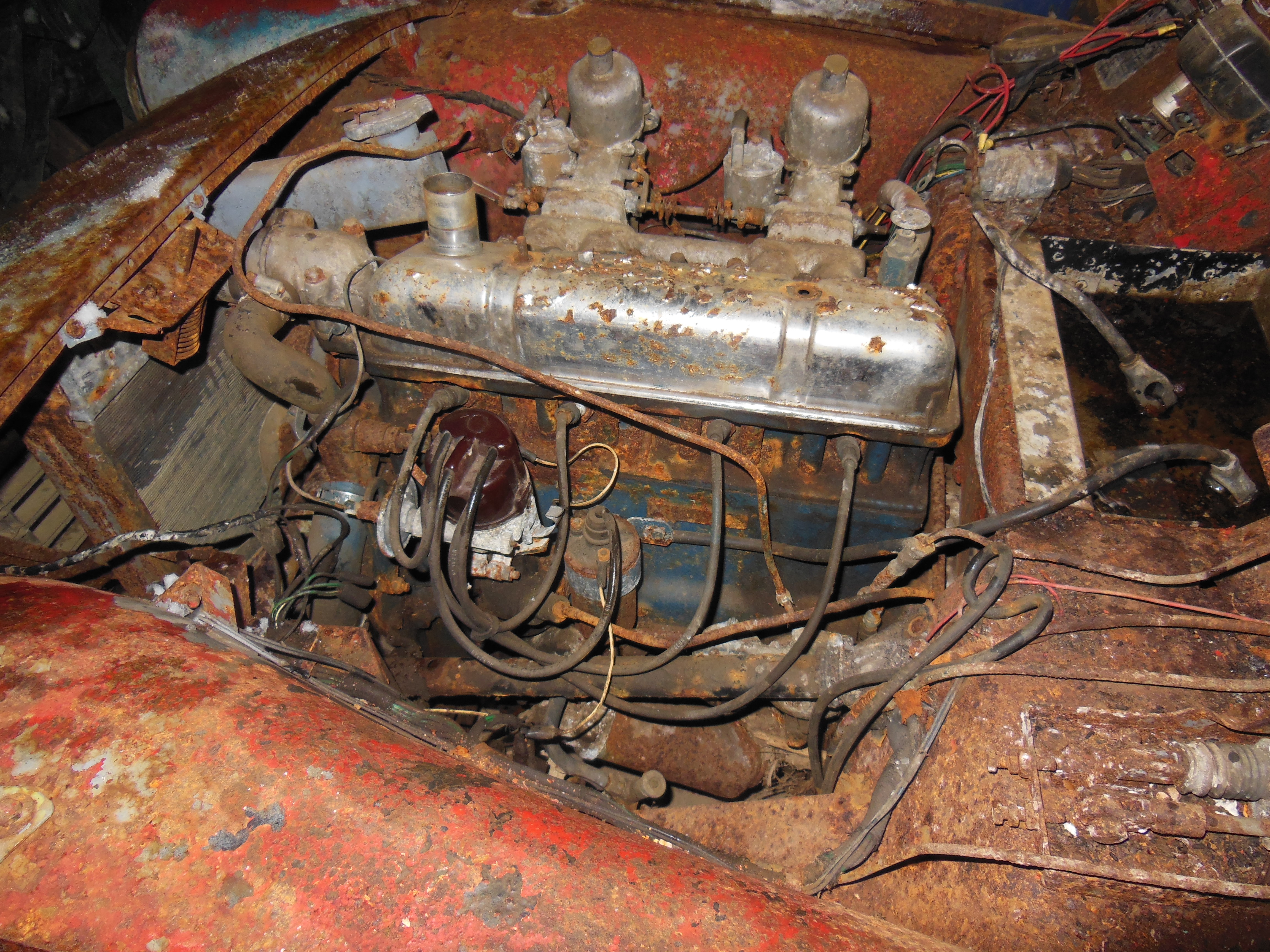 DSCN0528.JPG