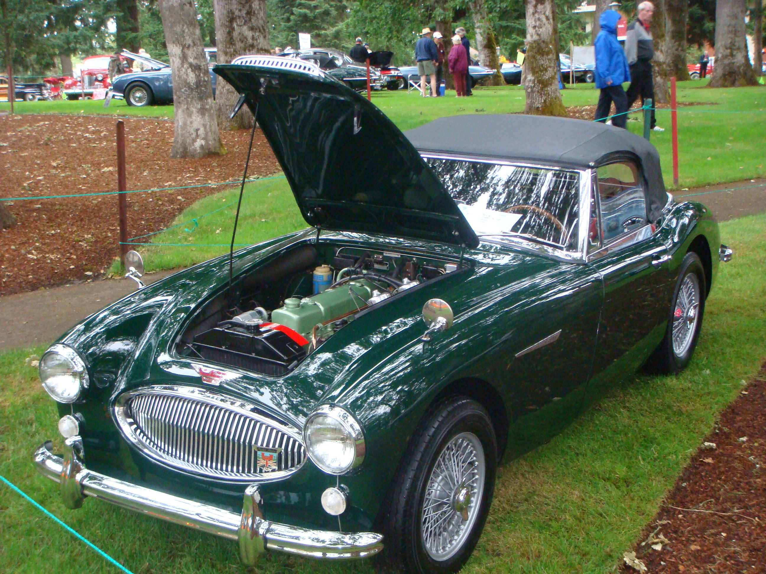 Fredrick - Forest Grove Concours.jpg