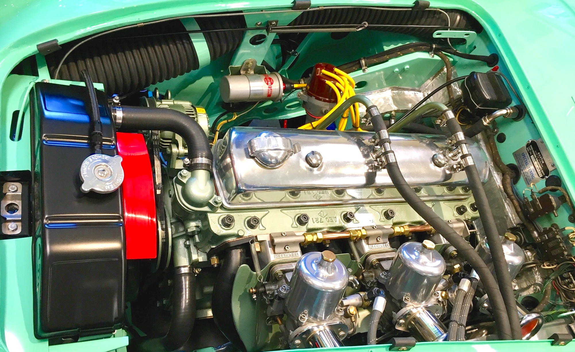 Healey race motor 5:17 5.jpg