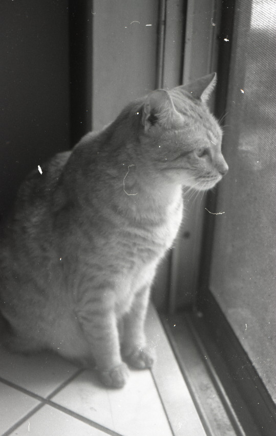 img376sm.jpg