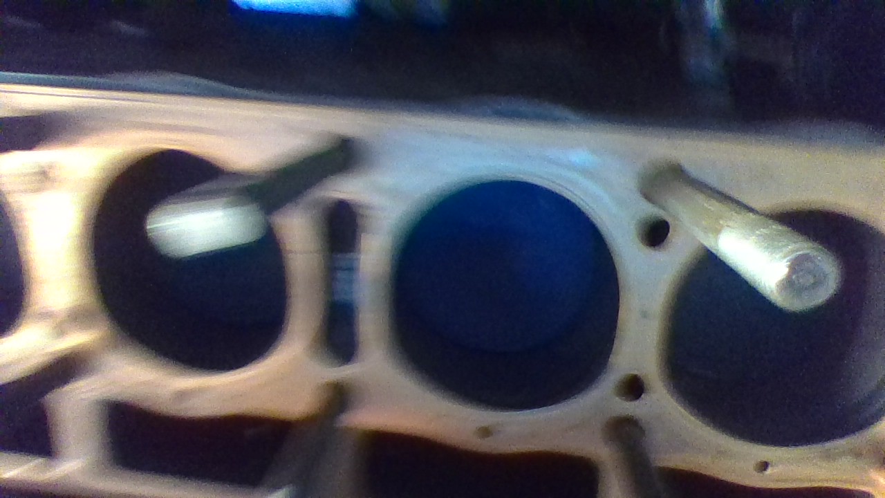 IMG_20240505_172320.jpg