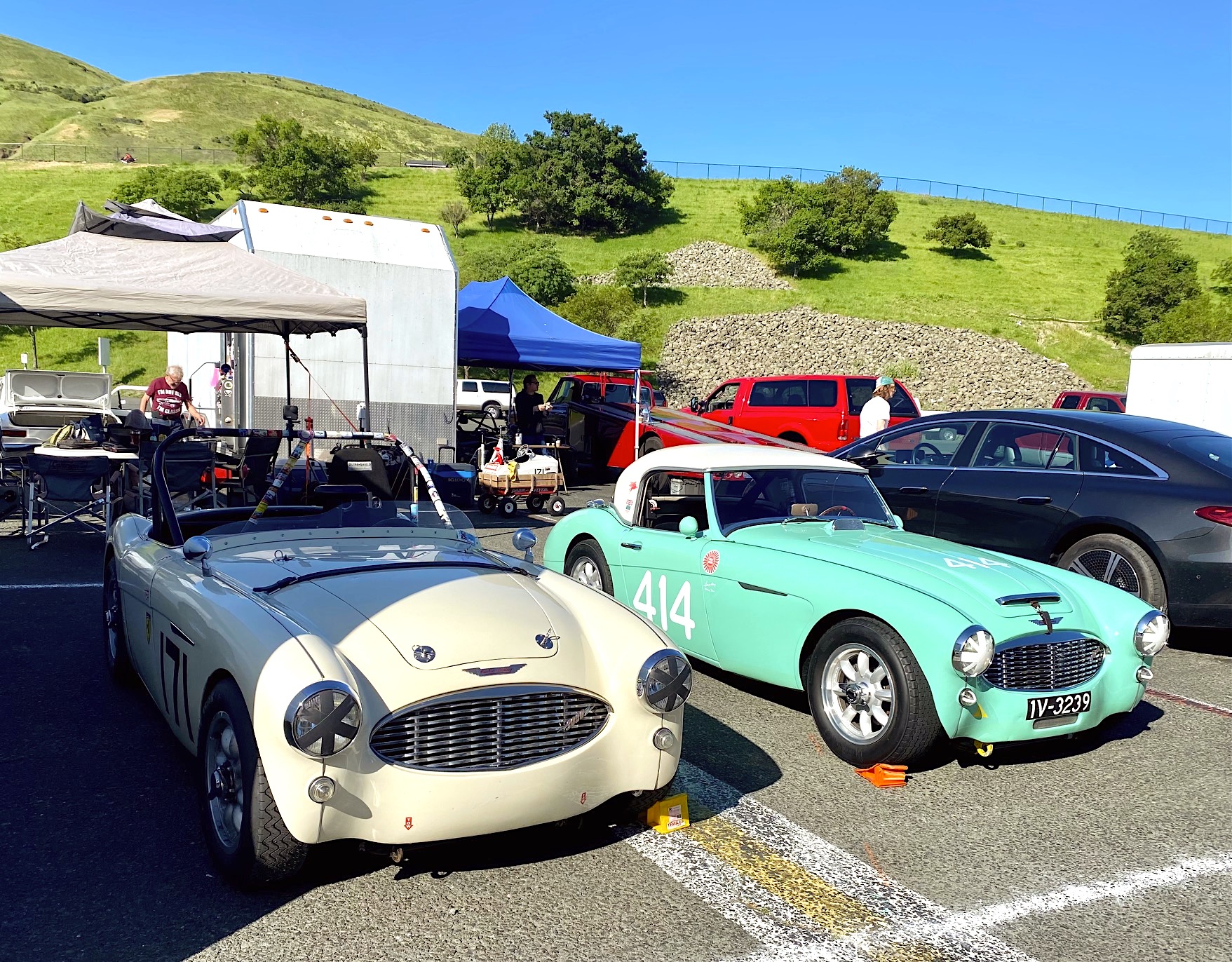 Kevin # 171 & Dougie # 414.jpg