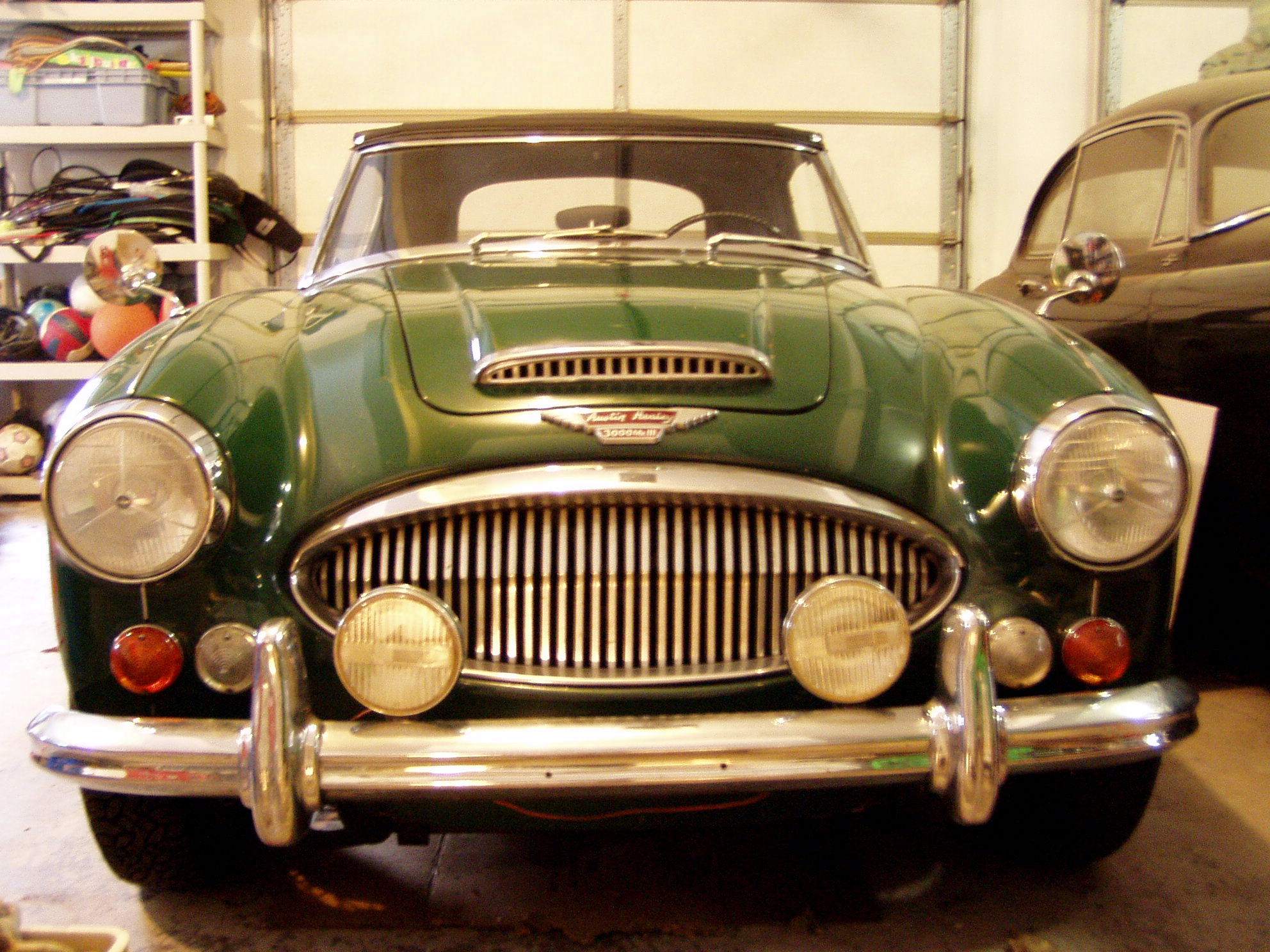 P1010002.jpg