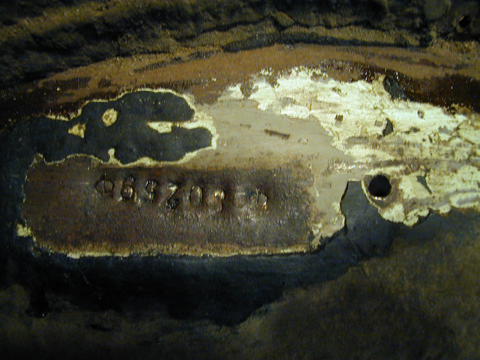 P1011774.JPG