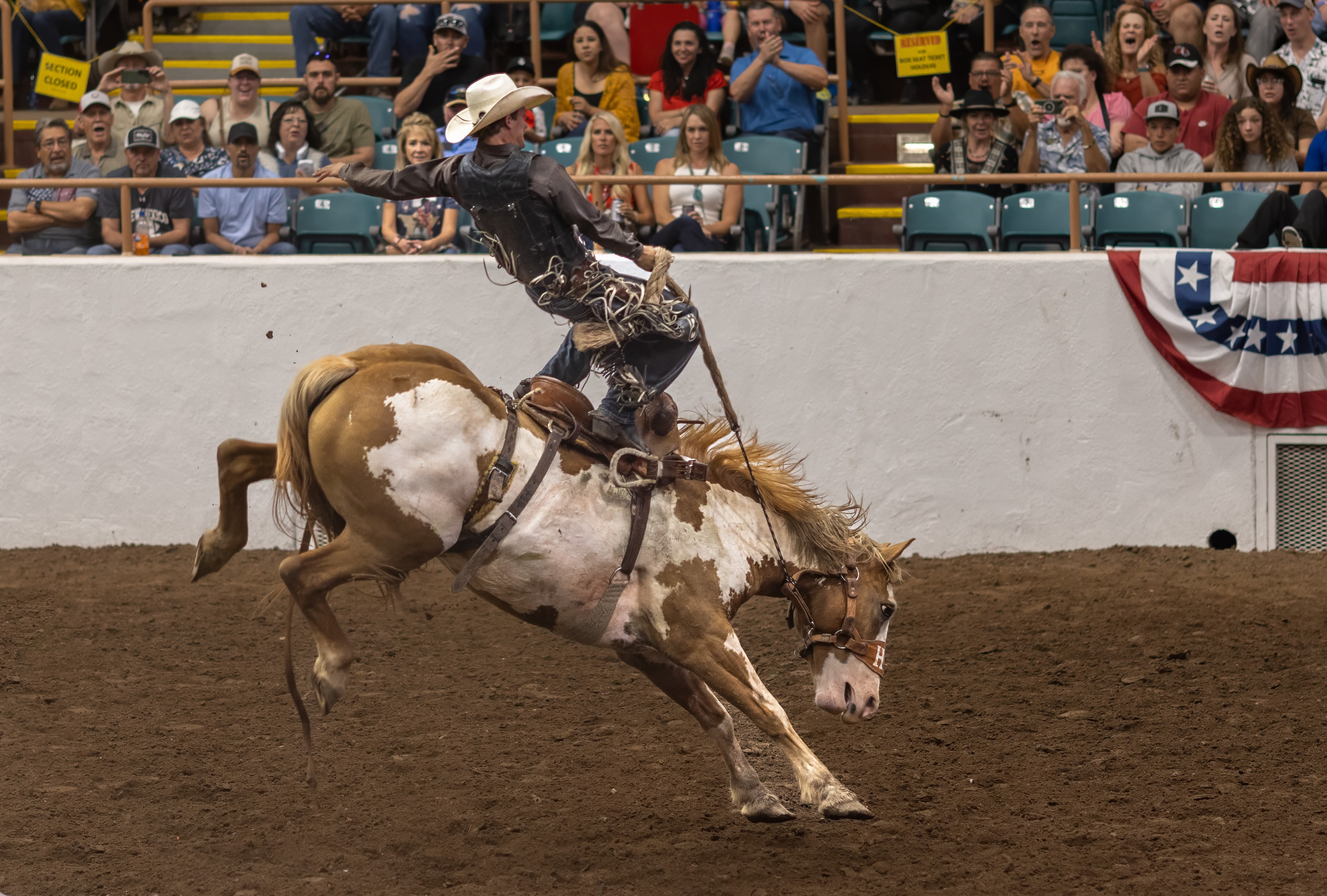 Rodeo-September 20, 2023-21 copy.jpeg
