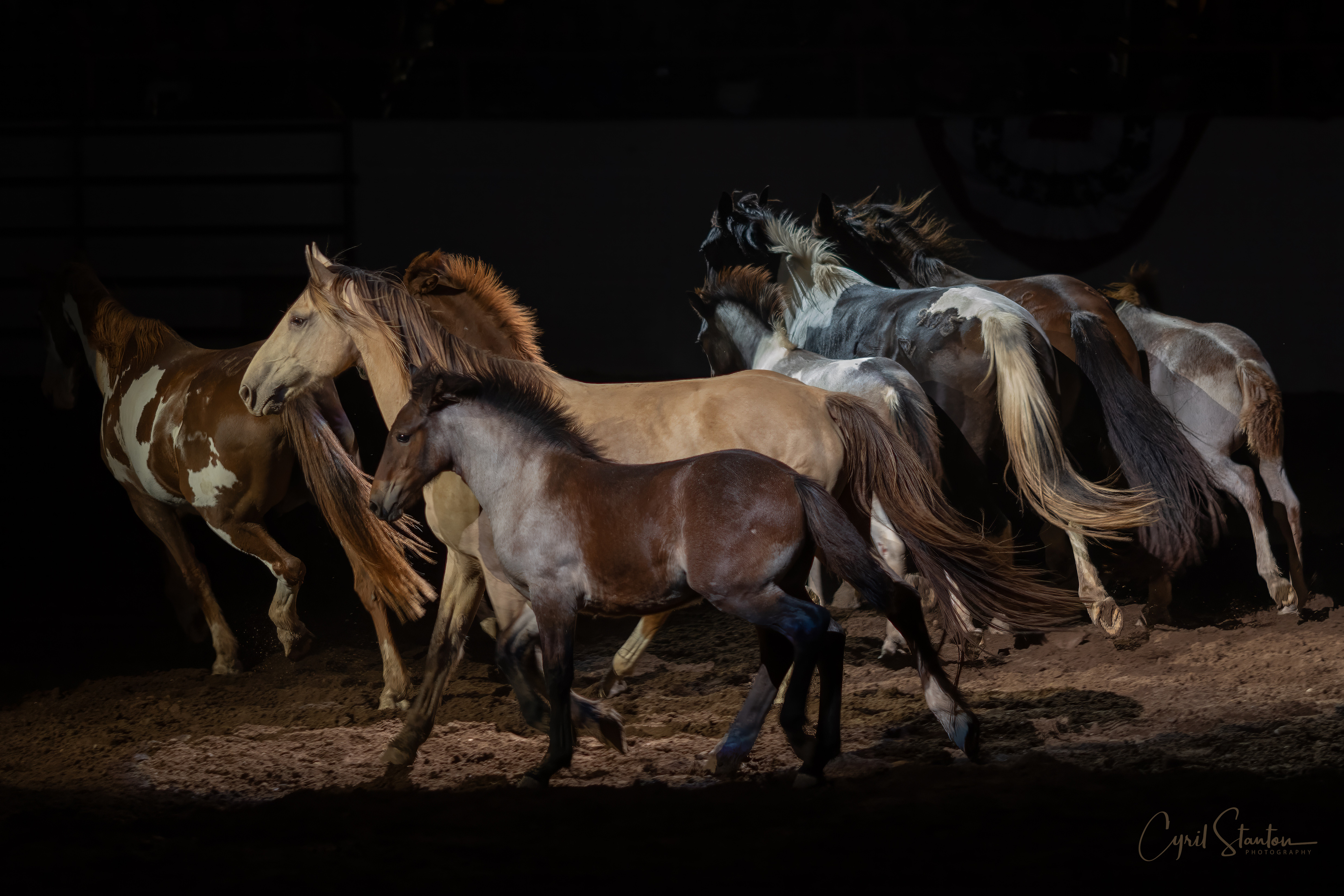 Rodeo-September 20, 2023-31.jpg