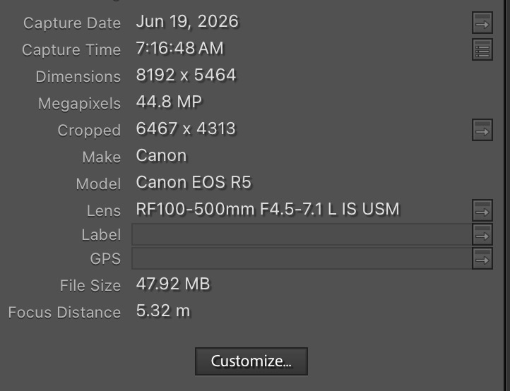 Screenshot 2026-06-20 at 6.53.49 AM.jpeg
