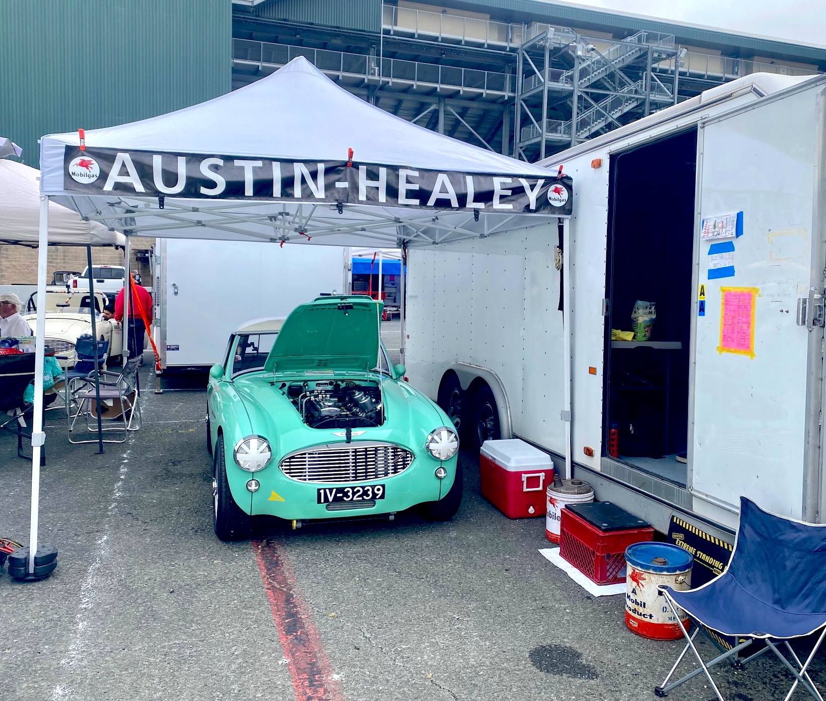 Sonoma Paddock 2023.jpg