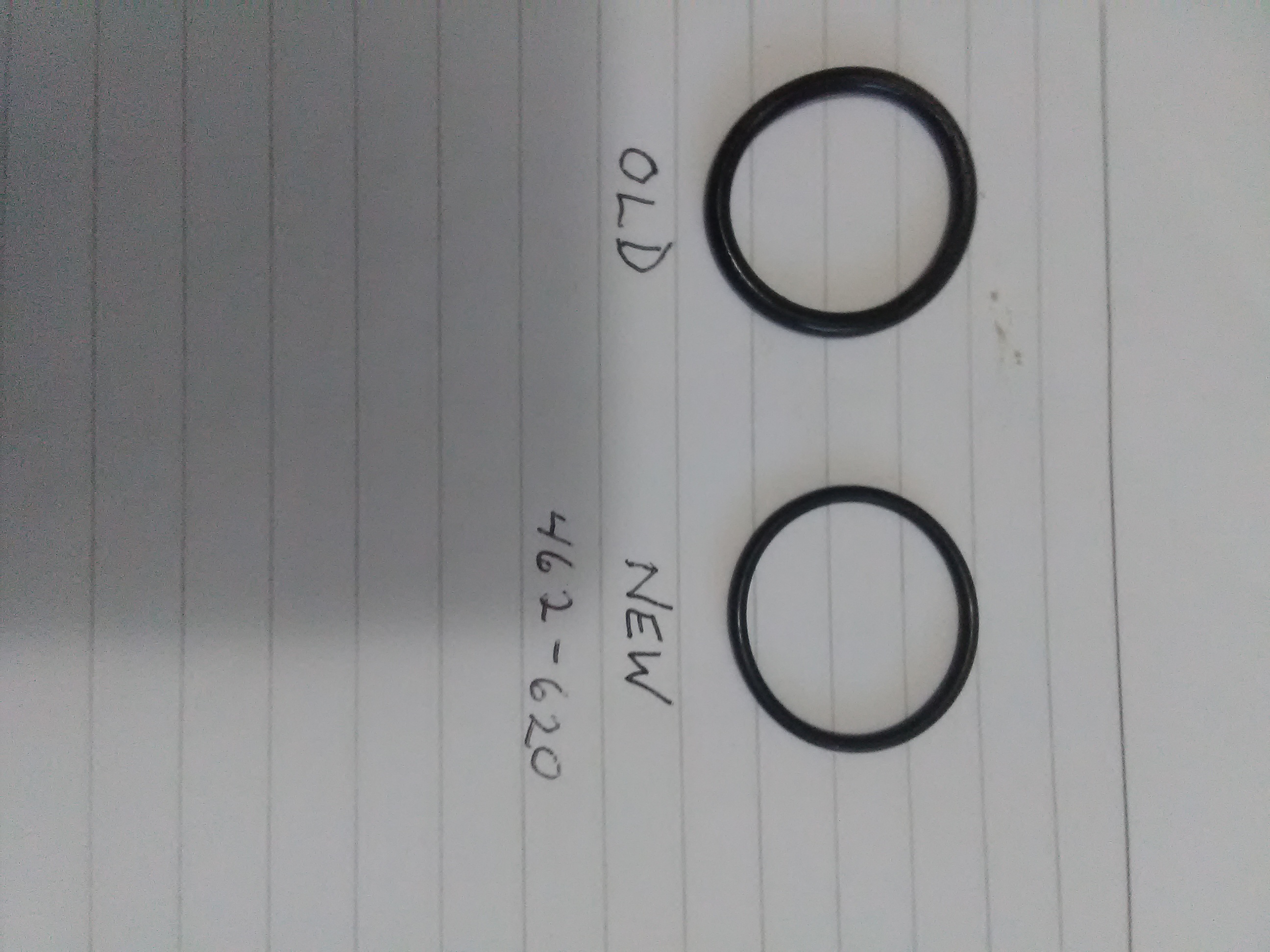 Speedo O-ring.jpg
