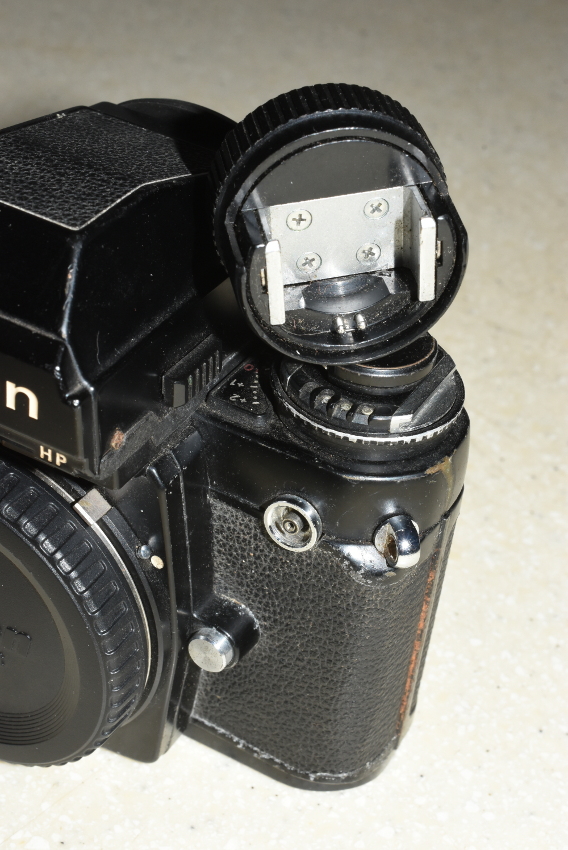 SS2_5697sc.JPG