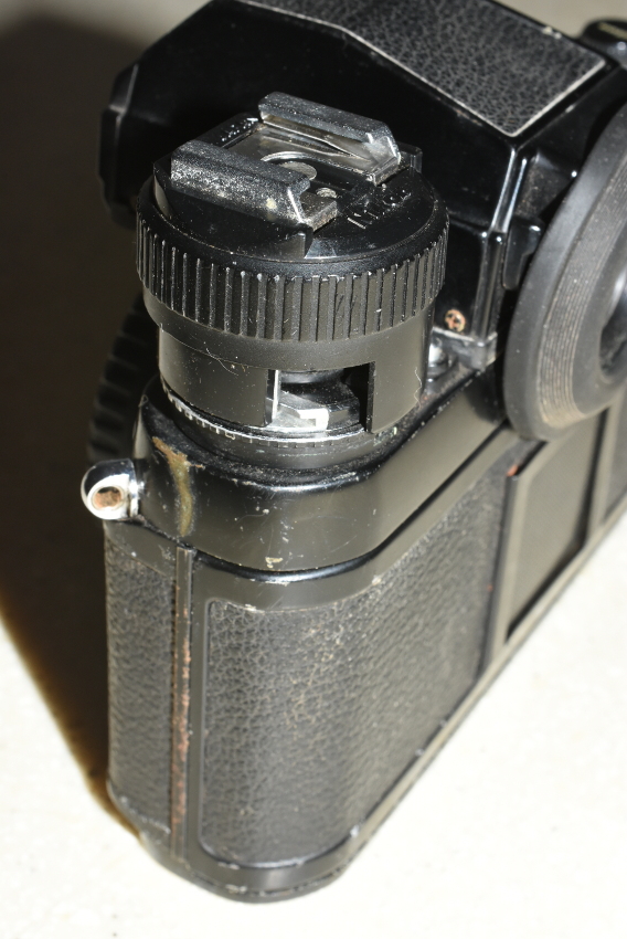 SS2_5698sc.JPG