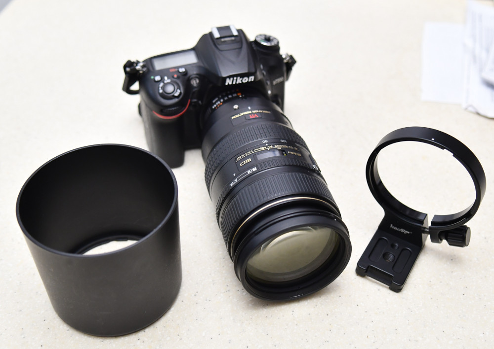 SS5_1053crsm.JPG