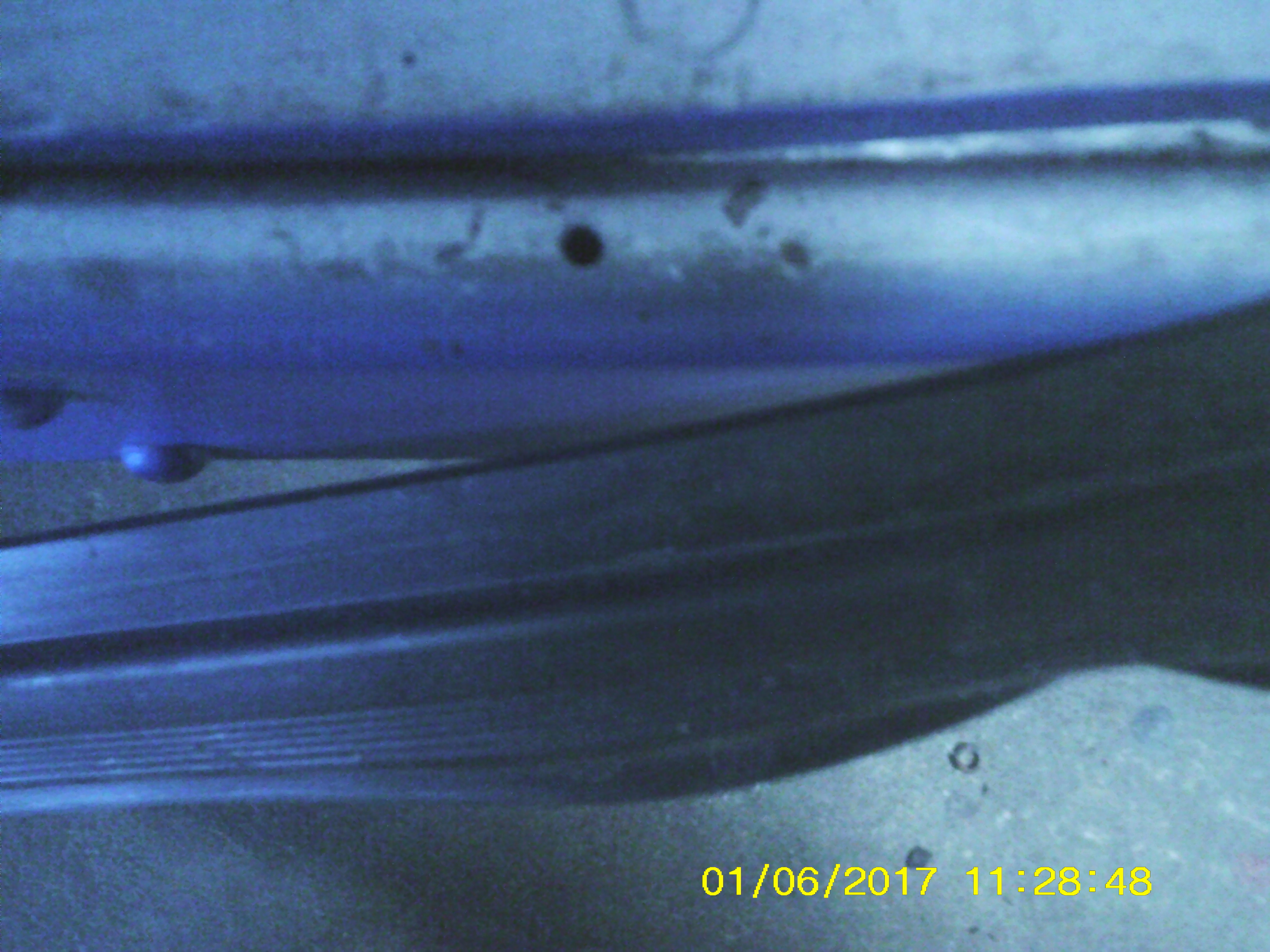 SUNP0037.JPG