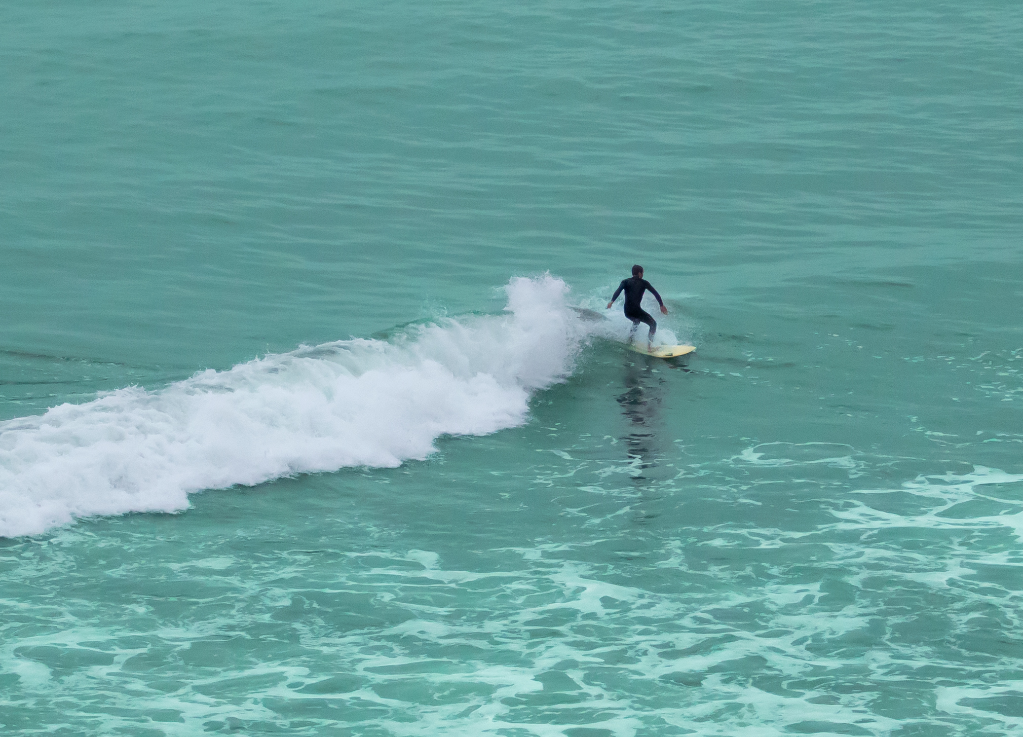 surfer stock.jpg
