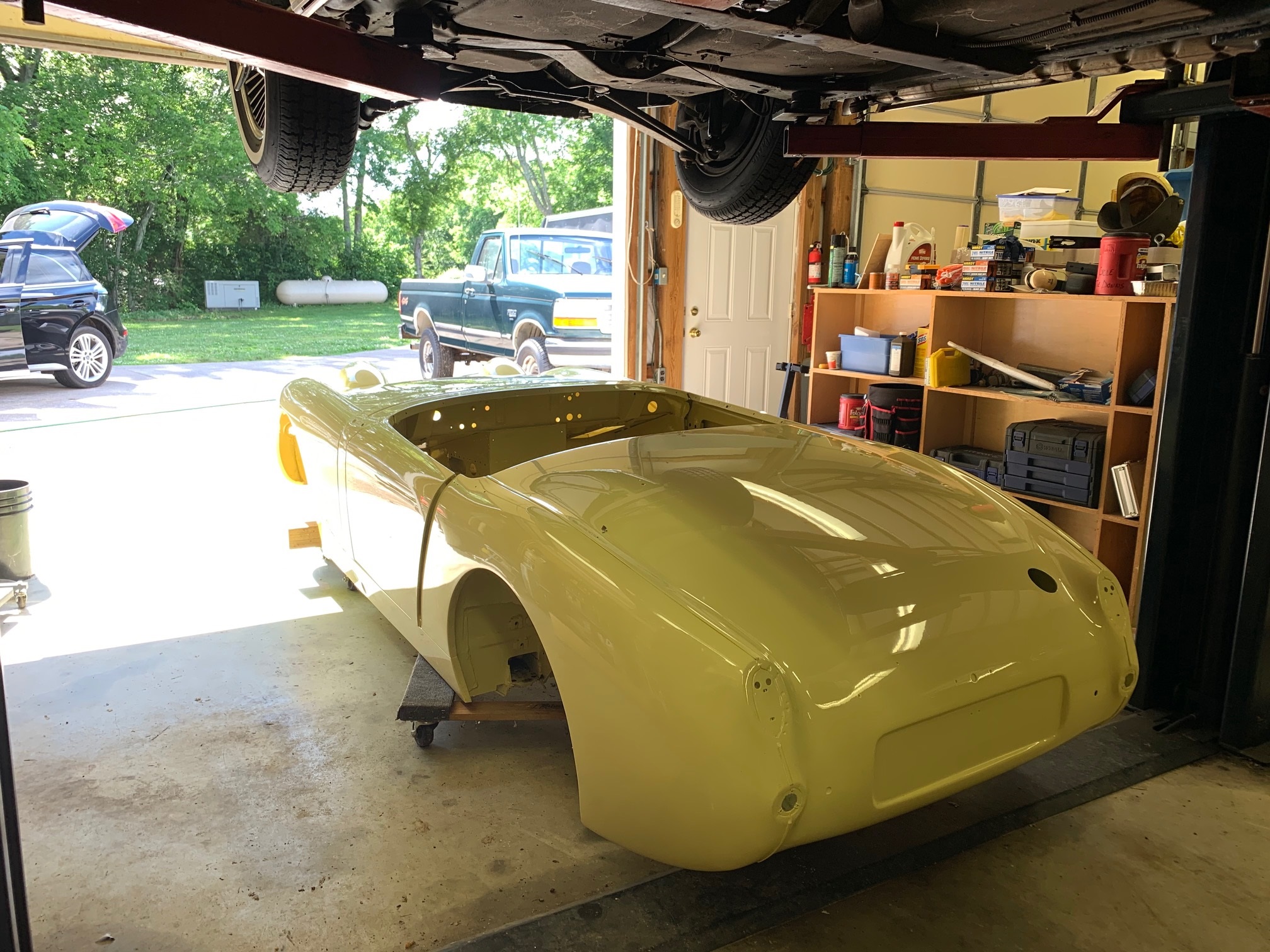Yellow Bugeye 2.jpg
